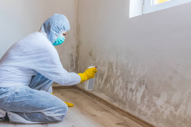 Licensed Crawl Space Mold Removal service in Melfa, VA - WQB Mold Removal