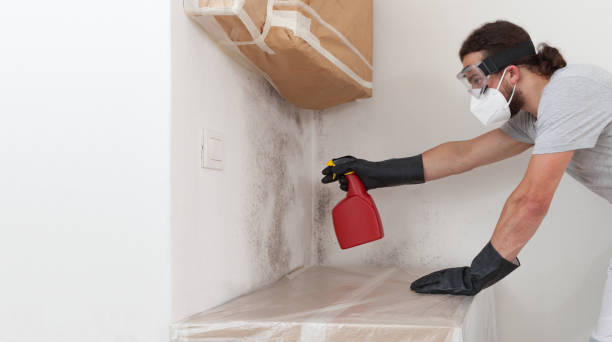 Professional Crawl Space Mold Removal technician working in Melfa, VA