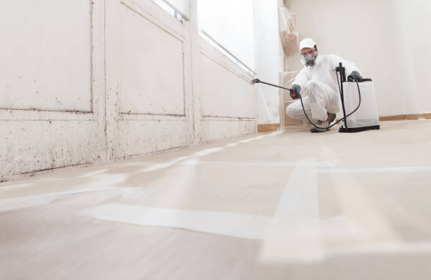 24/7 Emergency Crawl Space Mold Removal experts in Melfa, VA
