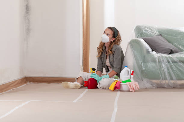 Reliable Crawl Space Mold Removal contractor in Melfa, VA by WQB Mold Removal